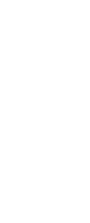 Bizom Buzz 2024