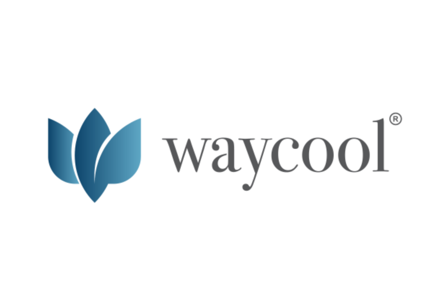 Waycool-logo