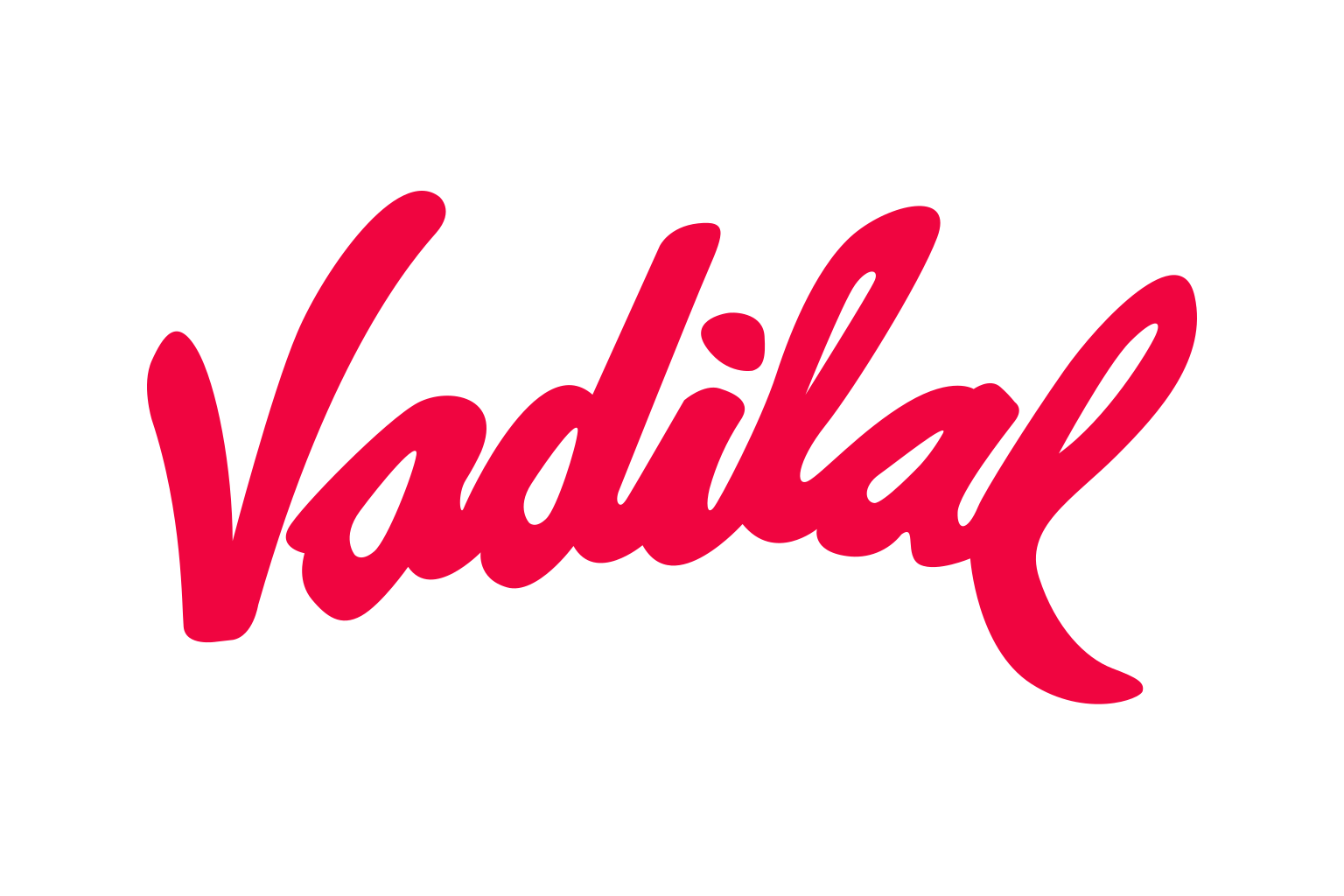vadilal-logo