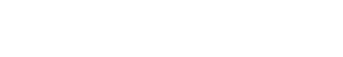 Bizom Logo White