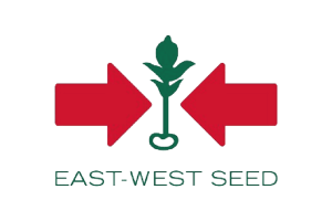 East west seeds@2x